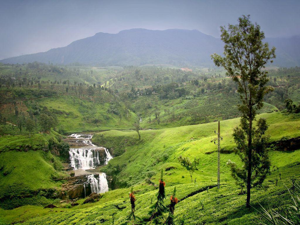 Sri Lanka Heritage & Hill Country Escape